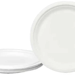Bagasse Plate | Round | 7 inch | 25 pcs | BBDISPOSABLE